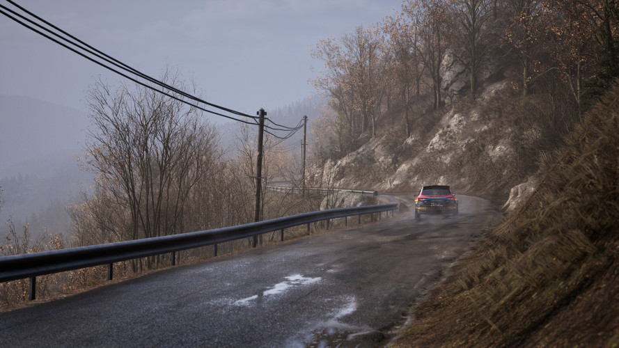 Assetto Corsa Rally, Steam Gift