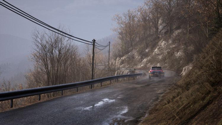 Assetto Corsa Rally, Steam Gift