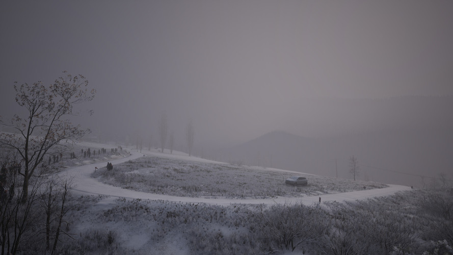 Assetto Corsa Rally, Steam Gift