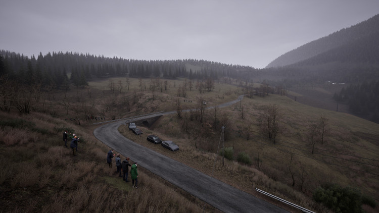 Assetto Corsa Rally, Steam Gift