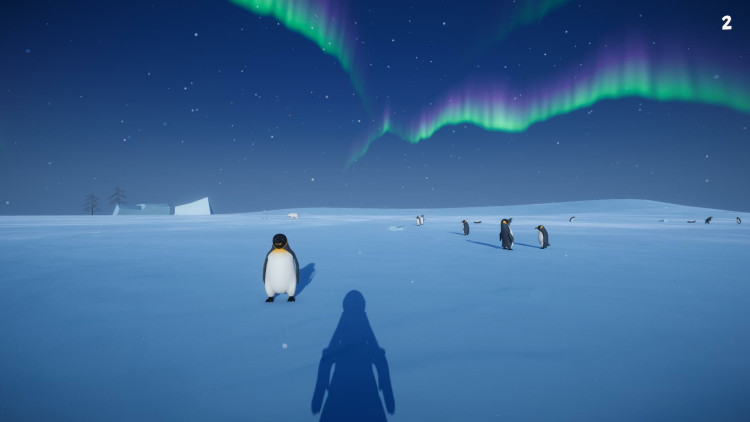 Penguin Helper, Steam Gift
