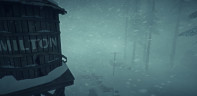 The Long Dark - Survival Mode, Steam Gift