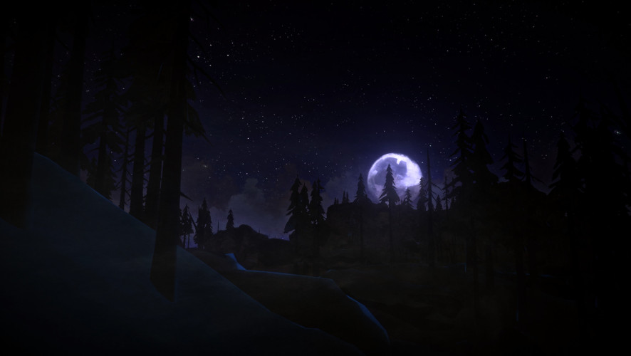 The Long Dark - Survival Mode, Steam Gift