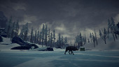 The Long Dark - Survival Mode, Steam Gift