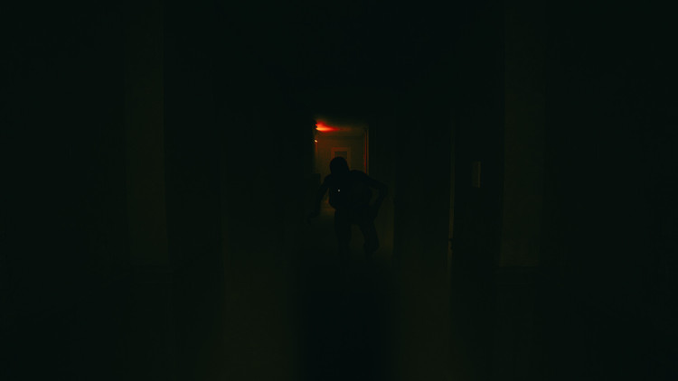 Obey the Voice™, Steam Gift