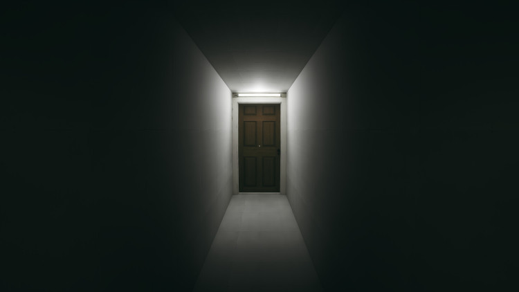 Obey the Voice™, Steam Gift