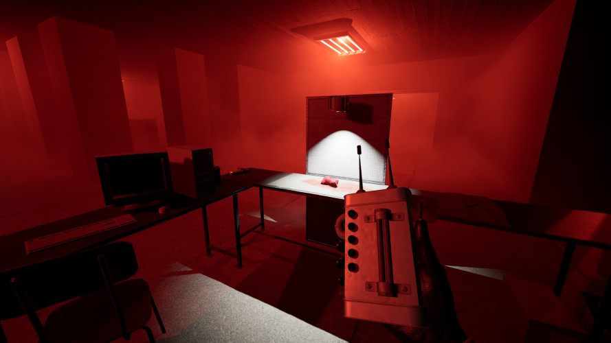 Backrooms Society, Steam Gift
