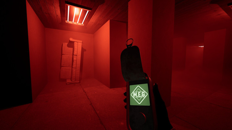 Backrooms Society, Steam Gift