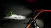 Backrooms Society, Steam Gift