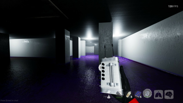 Backrooms Society, Steam Gift