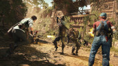 Strange Brigade, Steam Gift