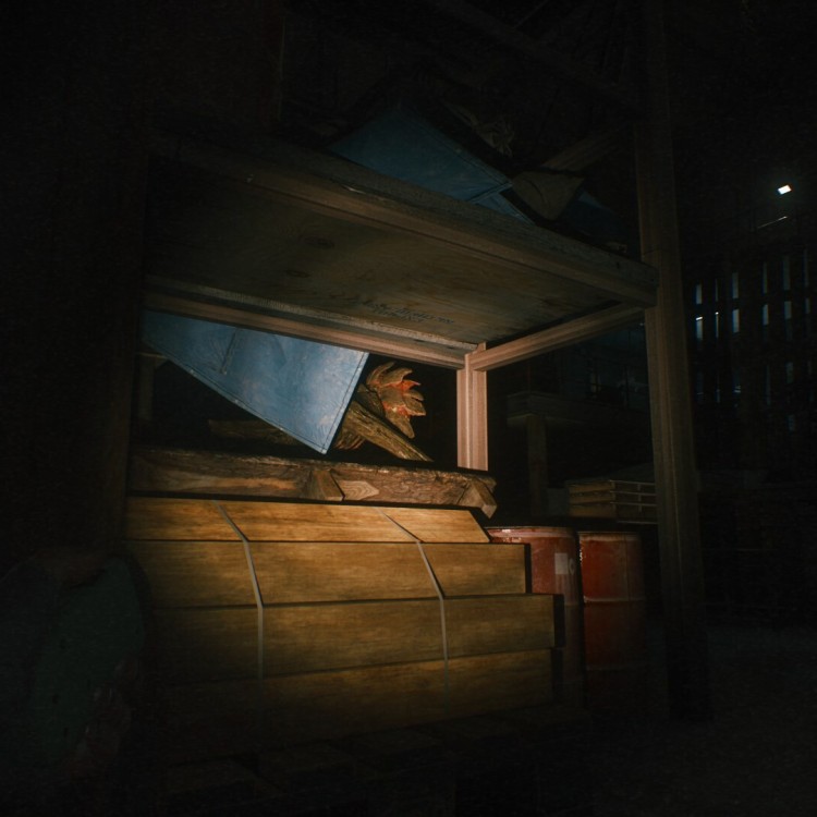 A Quiet Place: The Road Ahead