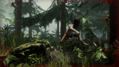 The Forest, Steam Gift