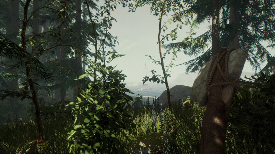 The Forest, Steam Gift
