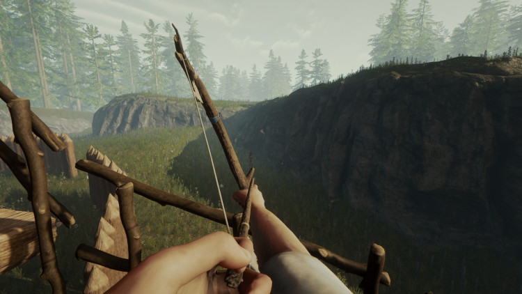 The Forest, Steam Gift