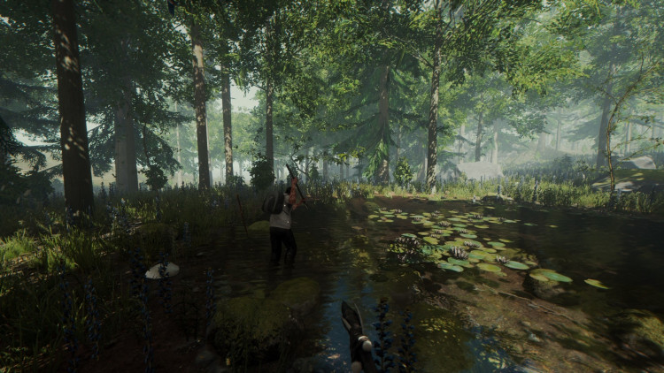 The Forest, Steam Gift