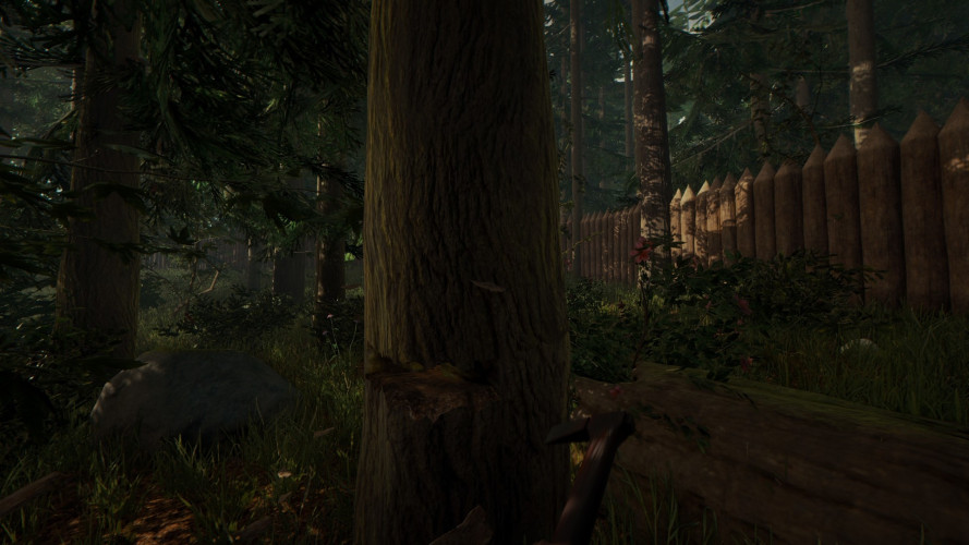 The Forest, Steam Gift