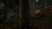 The Forest, Steam Gift