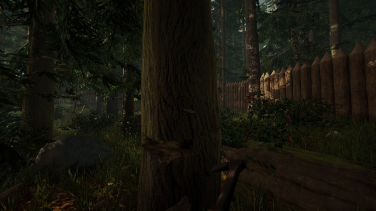The Forest, Steam Gift