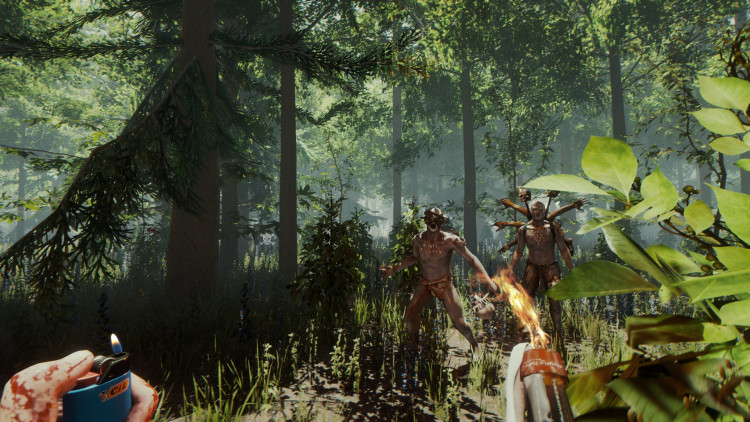The Forest, Steam Gift