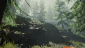 The Forest, Steam Gift