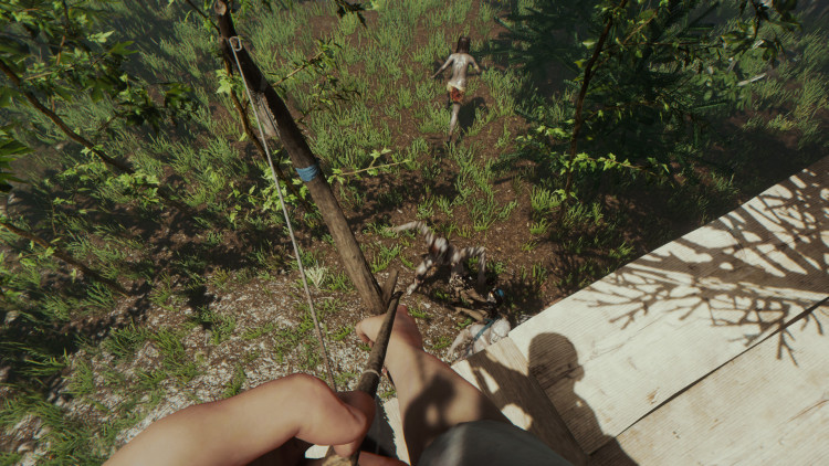 The Forest, Steam Gift