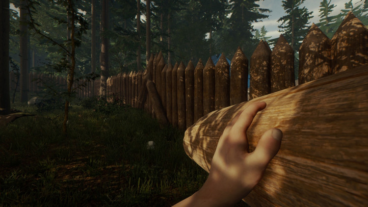 The Forest, Steam Gift