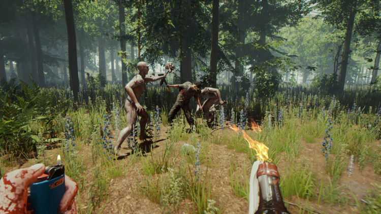 The Forest, Steam Gift