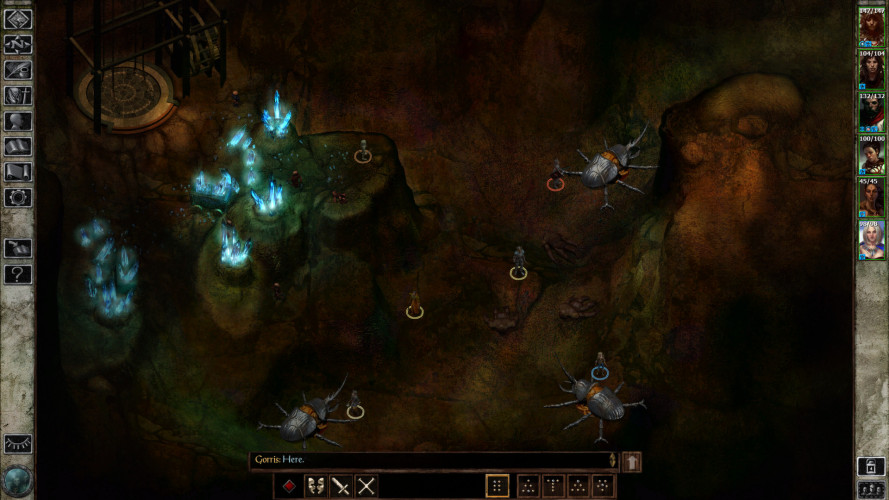 Icewind Dale: Enhanced Edition, Steam Gift