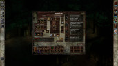 Icewind Dale: Enhanced Edition, Steam Gift