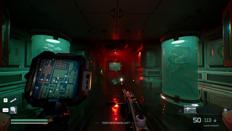 Species: Unknown, Steam Gift