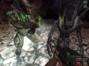 Aliens versus Predator Classic 2000, Steam Gift