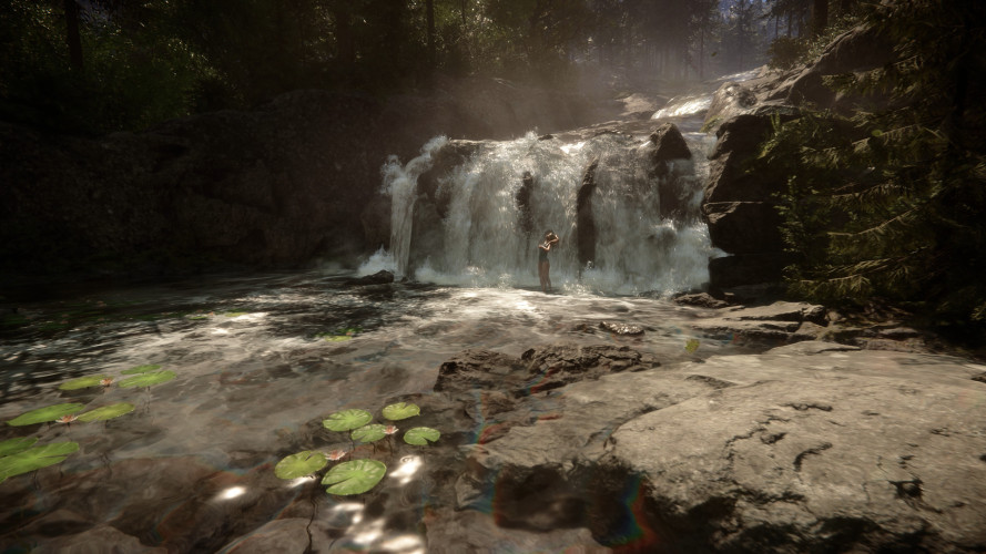 Sons Of The Forest, Steam Gift