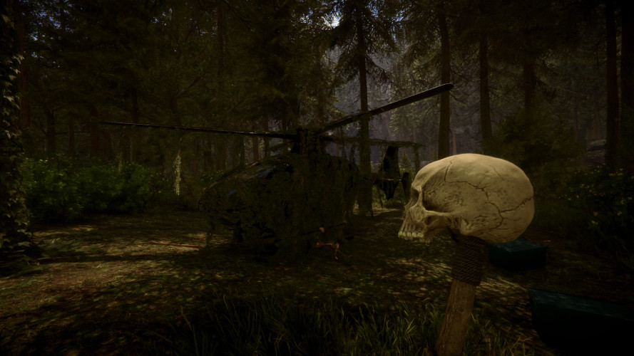 Sons Of The Forest, Steam Gift