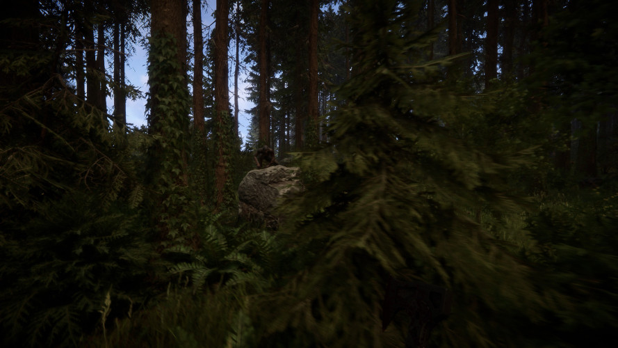 Sons Of The Forest, Steam Gift