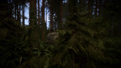 Sons Of The Forest, Steam Gift