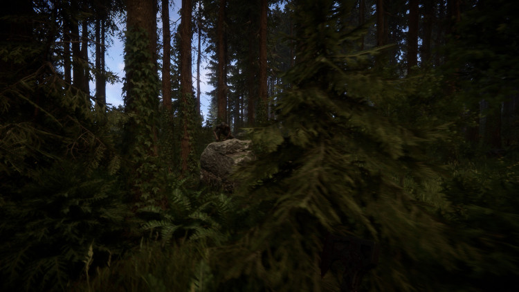 Sons Of The Forest, Steam Gift