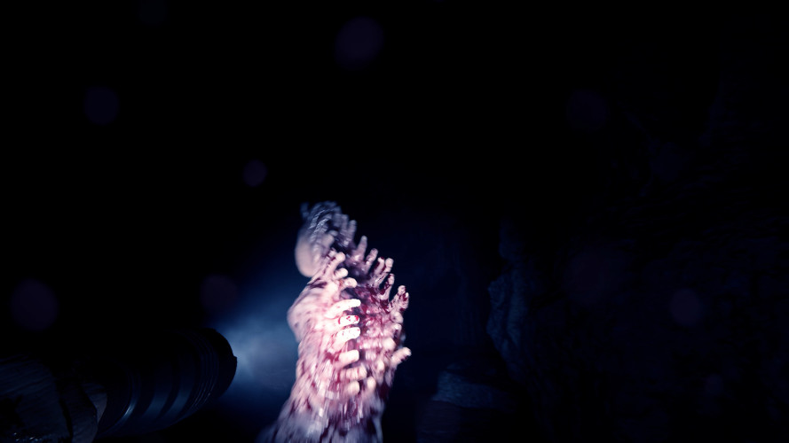 Sons Of The Forest, Steam Gift