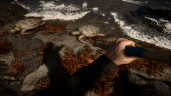 Sons Of The Forest, Steam Gift