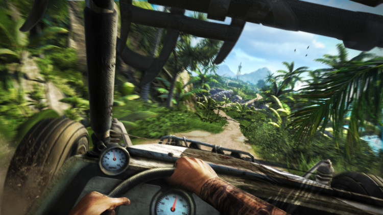 Far Cry 3, Steam Gift