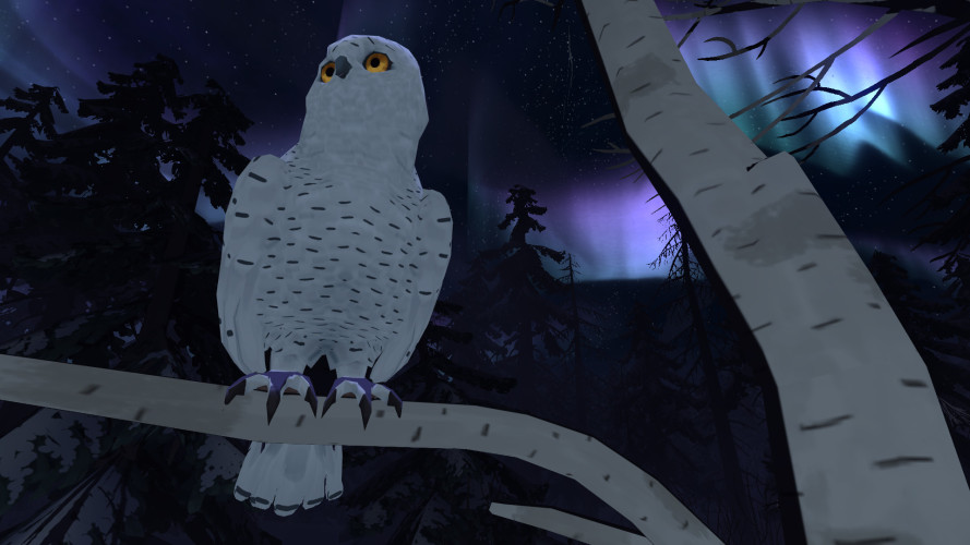 The Red Lantern, Steam Gift