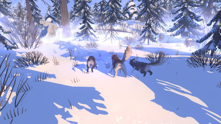 The Red Lantern, Steam Gift