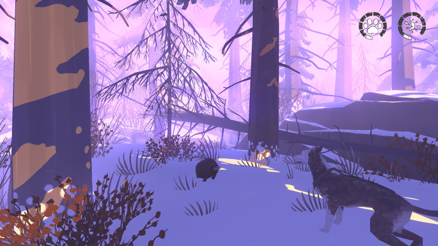 The Red Lantern, Steam Gift