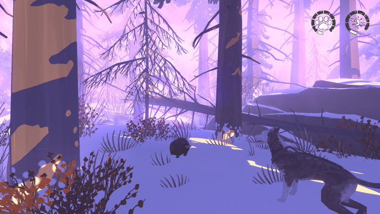 The Red Lantern, Steam Gift