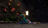Day of Dragons, Steam Gift