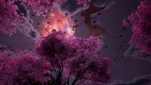 Day of Dragons, Steam Gift