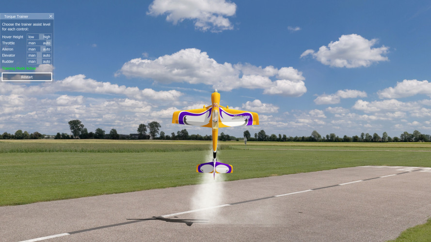 aerofly RC 10 - RC Flight Simulator, Steam Gift