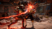 Mortal Kombat 11 Ultimate + Injustice 2 Legendary Edition Bundle, Steam Gift