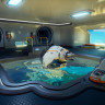 Subnautica 2, Steam Gift