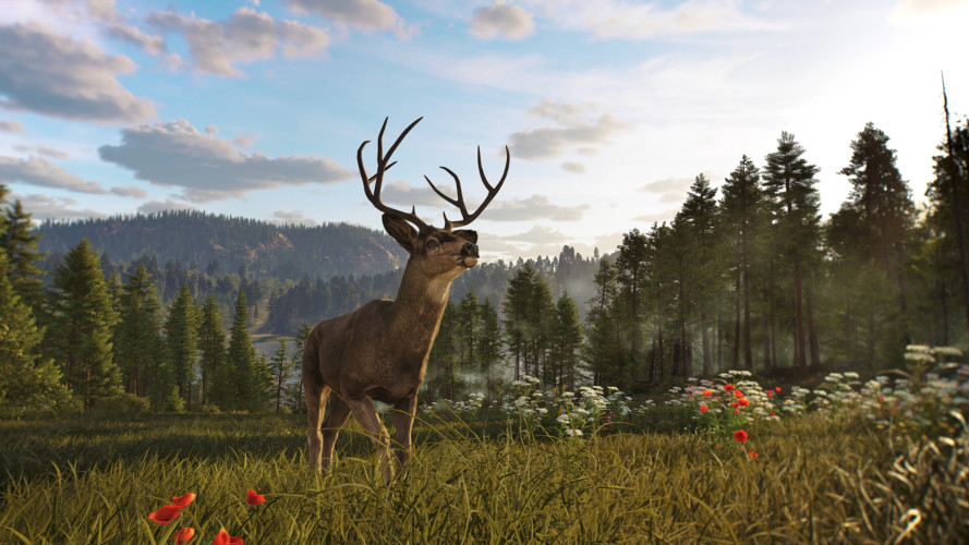 Way of the Hunter 2, Steam Gift